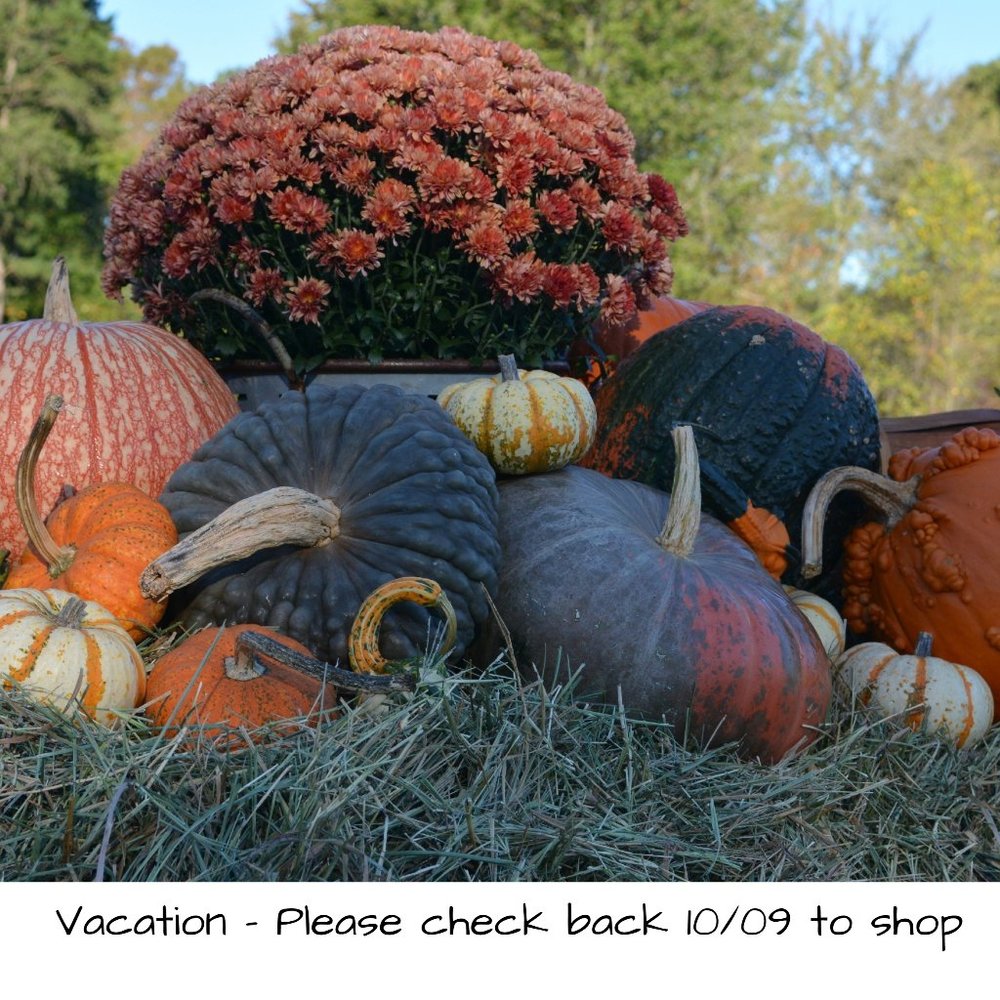 Vacation